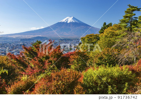 富士山と紅葉　山梨県富士吉田市孝徳公園にて 91736742