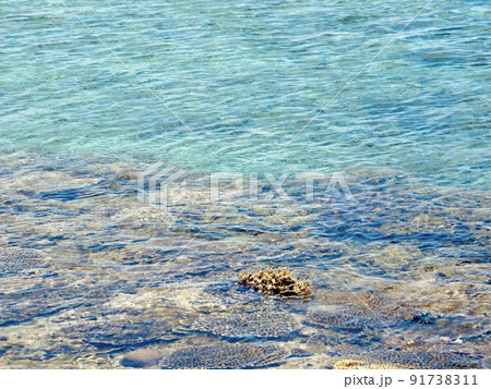 【宮古島】八重干瀬の海面ぎりぎりのサンゴ 91738311