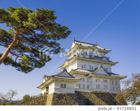 小田原城天守閣 快晴 / Odawara Castle, Japan 91738801