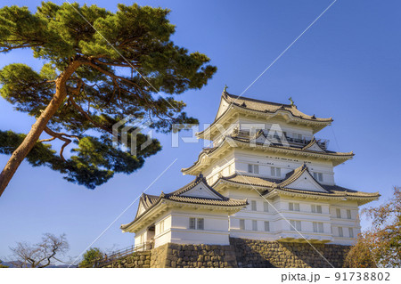 小田原城天守閣 快晴 / Odawara Castle, Japan 91738802
