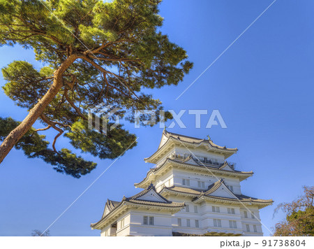 小田原城天守閣 快晴 / Odawara Castle, Japan 91738804