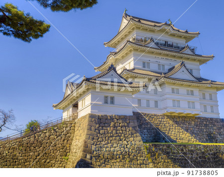 小田原城天守閣 快晴 / Odawara Castle, Japan 91738805