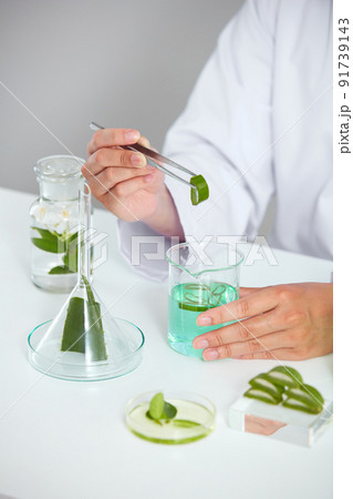 Plants and flowers extract in petri dish and a white background in laboratory , green leaf in a test tube and doctor for cosmetic advertising , photography science concept Plants and flowers extract in petri dish and a white background in laboratory , green leaf in a test tube and doctor for cosmetic advertising , photography science concept 91739143