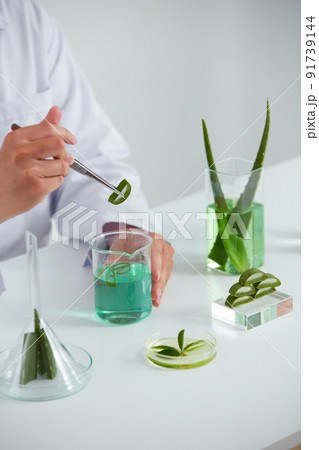 Plants and flowers extract in petri dish and a white background in laboratory , green leaf in a test tube and doctor for cosmetic advertising , photography science concept Plants and flowers extract in petri dish and a white background in laboratory , green leaf in a test tube and doctor for cosmetic advertising , photography science concept 91739144