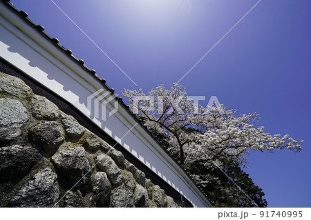 石垣と桜の風景 91740995