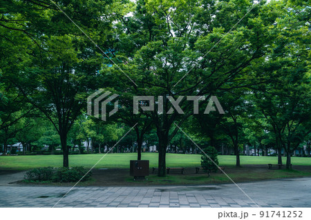 天神中央公園 91741252
