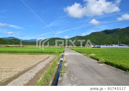 宍喰の風景　徳島 91743117