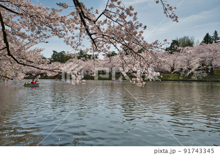 桜が満開の弘前公園　西濠の風景 91743345