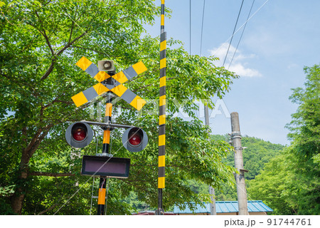 夏の思い出 91744761