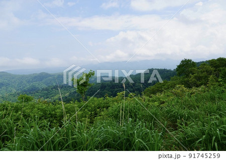 トーマル峠から見る風景 トーマル峠から見る風景 91745259