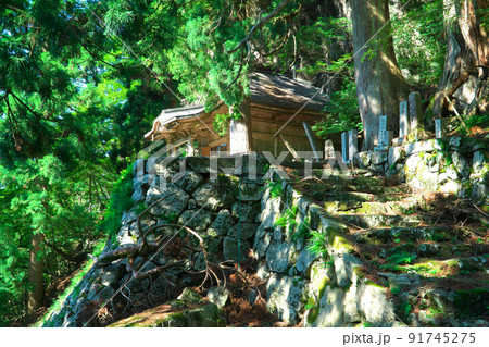 木漏れ日の後山道仙寺奥の院1　岡山県美作市 91745275