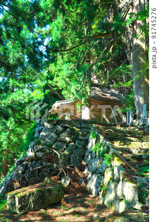 木漏れ日の後山道仙寺奥の院2　岡山県美作市 91745276