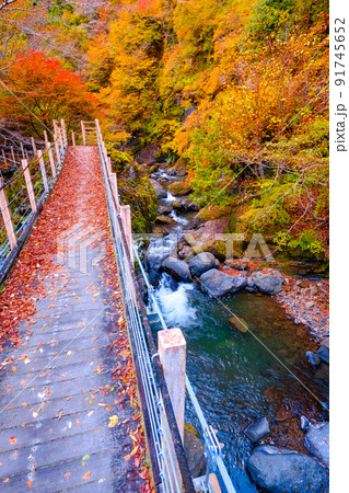 大柳川渓谷(秋):竜門橋 大柳川渓谷(秋):竜門橋 91745652