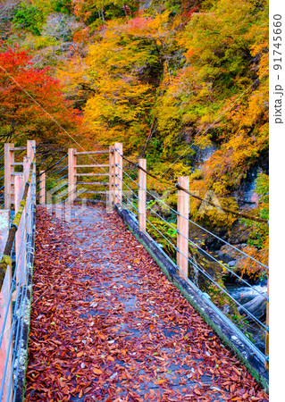 大柳川渓谷(秋):竜門橋 大柳川渓谷(秋):竜門橋 91745660