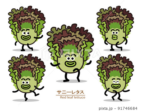 野菜キャラPOP（サニーレタス） 91746684