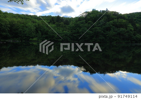 新緑と湖面 91749114