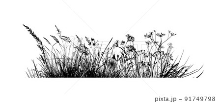 Background grass natural silhouette. Vector illustration 91749798