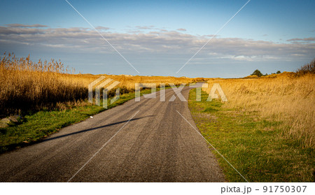 Path through the dunes at the wadden sea Germany 91750307
