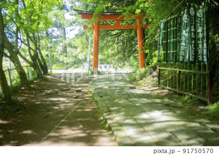 鳳来寺山の東照宮の鳥居 鳳来寺山の東照宮の鳥居 91750570