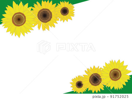 ひまわりの花・フレーム素材 91752025