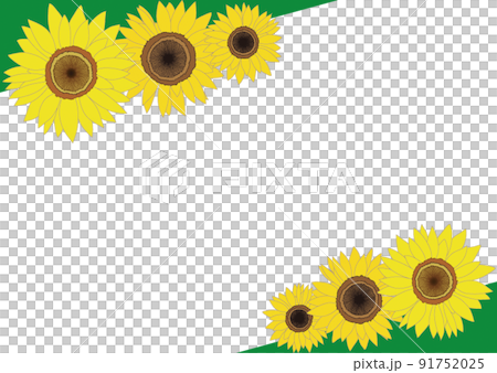 ひまわりの花・フレーム素材 91752025