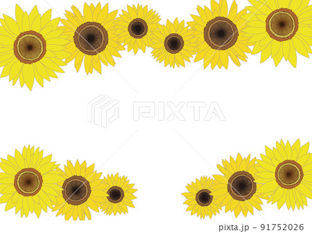 ひまわりの花・フレーム素材 91752026