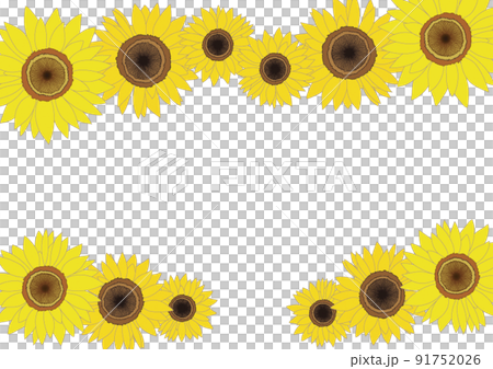 ひまわりの花・フレーム素材 91752026