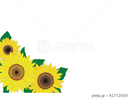 ひまわりの花・フレーム素材 ひまわりの花・フレーム素材 91752030