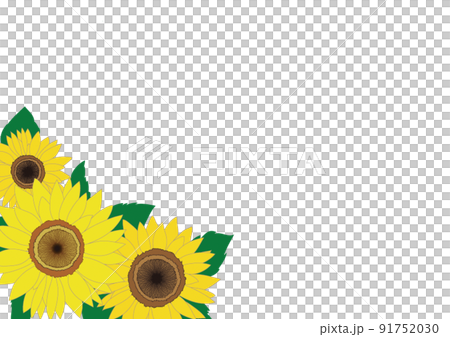 ひまわりの花・フレーム素材 ひまわりの花・フレーム素材 91752030