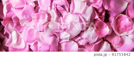 Natural background of rose petals Natural background of rose petals 91755842