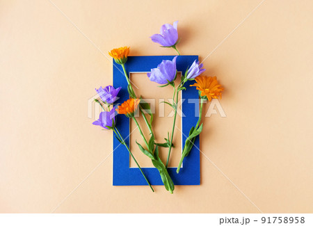 Blue bluebell flowers and orange calendula flowers in a blue frame on an orange background. Summer flat lay Blue bluebell flowers and orange calendula flowers in a blue frame on an orange background. Summer flat lay 91758958