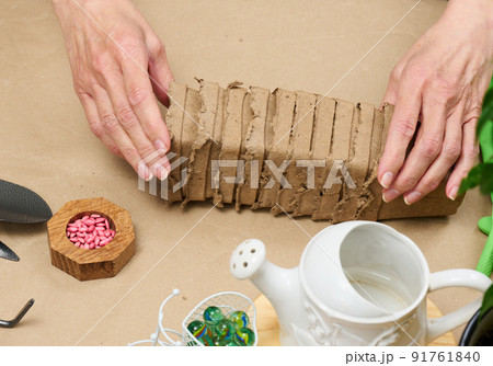 Woman at home holding paper cups for planting plants and vegetables. Hobby and leisure Woman at home holding paper cups for planting plants and vegetables. Hobby and leisure 91761840