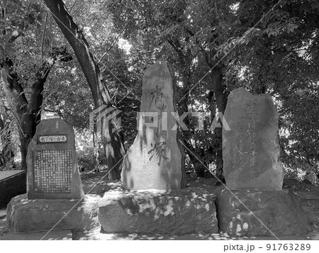 東京品川・品川神社の富士塚（庖丁塚） 91763289