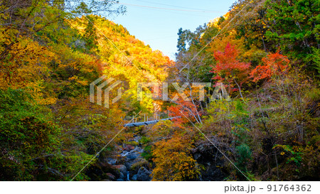 大柳川渓谷（秋） 91764362