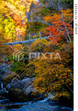 大柳川渓谷(秋) 大柳川渓谷(秋) 91764393