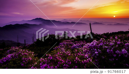 自然 風景 景色 91766017