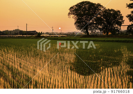 自然 風景 景色 91766018