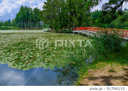 弁天島と戸隠島 弁天島と戸隠島 91766133