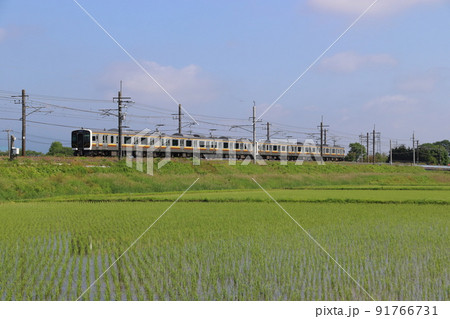 宇都宮線E131系（6両編成：宇都宮⇔黒磯） 91766731