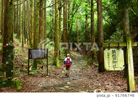 箱根町 箱根旧街道(旧東海道)案内板と石畳とハイカー 箱根町 箱根旧街道(旧東海道)案内板と石畳とハイカー 91766746