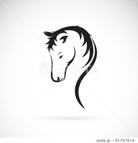Vector of a horse head design on white background. Easy editable layered vector illustration. Wild animals. 91767619
