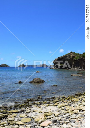 小笠原諸島　母島の南崎海岸 91767742