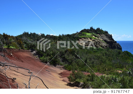 小笠原諸島 母島の小富士への道 小笠原諸島 母島の小富士への道 91767747