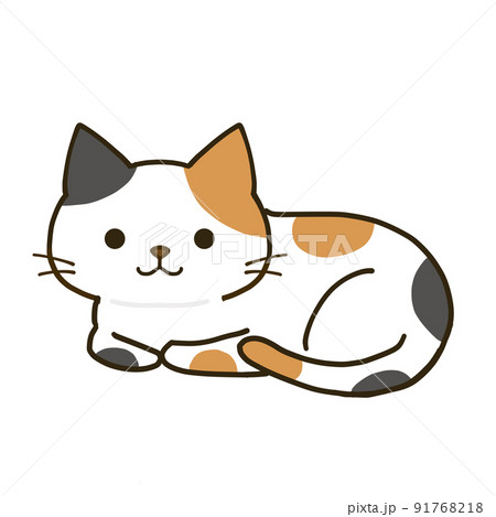 くつろぐシンプルな三毛猫 91768218