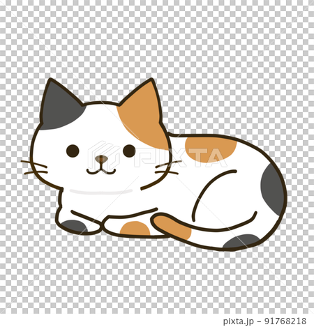くつろぐシンプルな三毛猫 91768218