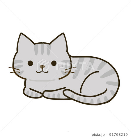 くつろぐシンプルなサバトラ猫 91768219