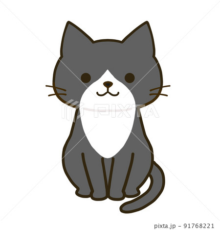 おすわりするシンプルなハチワレ黒猫 91768221
