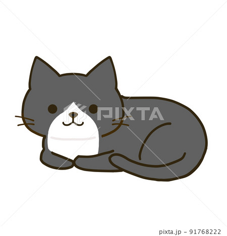くつろぐシンプルなハチワレ黒猫 くつろぐシンプルなハチワレ黒猫 91768222