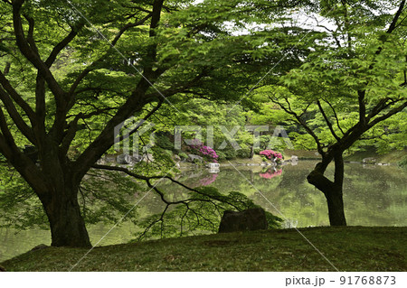 京都仙洞御所　北池　女院御所の池 91768873