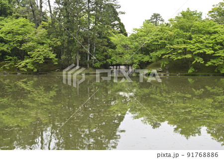 京都仙洞御所　北池　女院御所の池 91768886